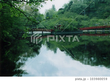 茂原公園② 茂原公園② 103980059