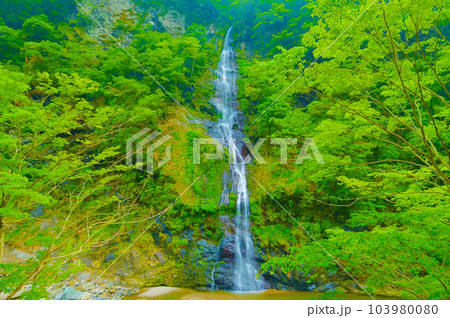 隠れた名瀑　不動滝（奈良県吉野郡十津川村） 103980080