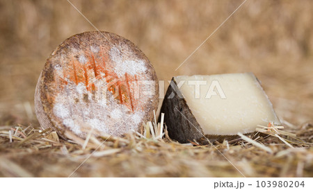 head and chunks of aged hard cheese in hayloft 103980204