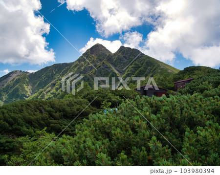 塩見岳山頂より 103980394