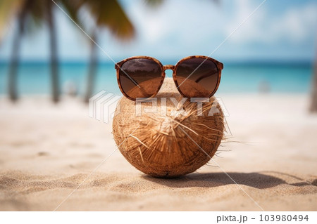 Coconut sunglasses shop