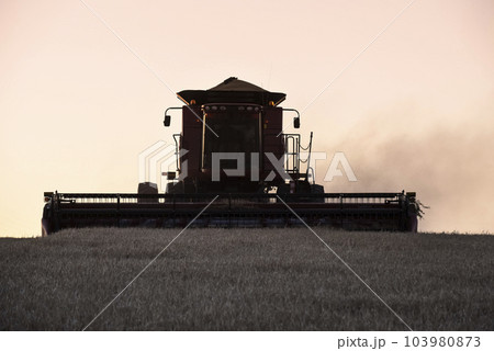 Harvester machine, harvesting in the Argentine countryside, Buenos Aires province, Argentina. 103980873