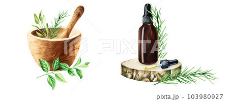 Watercolor bottle of serum, cream with pipette on a wooden saw cut and wooden mortar and pestle isolated on white background.. Beauty products and botany elements, cosmetology and medicine. For 103980927