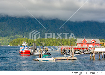 Motor boats are mooring to the piers on Pacific ocean bay in Tofino Motor boats are mooring to the piers on Pacific ocean bay in Tofino 103981583