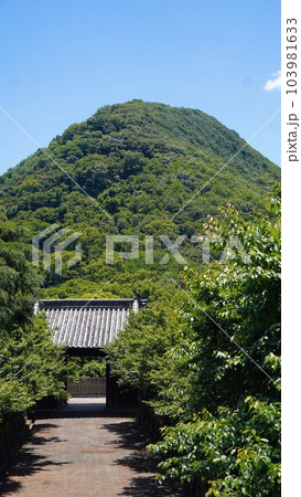 梅宮八幡神社【香川県坂出市】3 103981633
