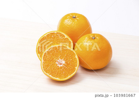 はるみ はるみみかん 柑橘果物 ハルミミカン はるみ はるみみかん 柑橘果物 ハルミミカン 103981667