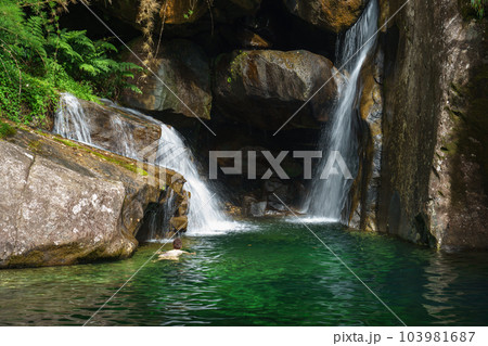 Swimming towards a secret cave behind an emerald waterfall 103981687