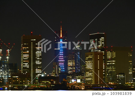 東京湾　東京タワーの見える夜景 103981839