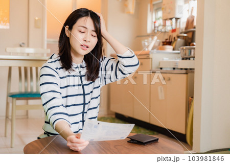 電気料金の高騰で頭を抱える若い女性 電気料金の高騰で頭を抱える若い女性 103981846
