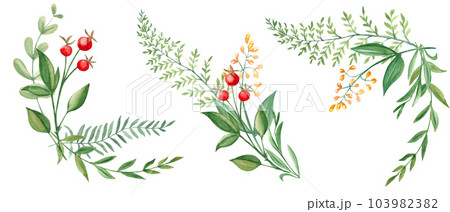 Set of watercolor summer bouquets, corners of green branches, wildflowers and red berries. Botanical hand drawn illustration. Can be used for greeting cards, invitations, floral designs. Set of watercolor summer bouquets, corners of green branches, wildflowers and red berries. Botanical hand drawn illustration. Can be used for greeting cards, invitations, floral designs. 103982382