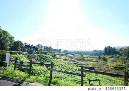 大阪府南河内郡_下赤坂城跡からの棚田風景17 大阪府南河内郡_下赤坂城跡からの棚田風景17 103983375