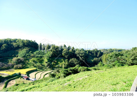 大阪府南河内郡_下赤坂城跡からの棚田風景10 大阪府南河内郡_下赤坂城跡からの棚田風景10 103983386