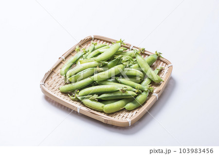 えんどう豆 エンドウ豆 緑黄色野菜 穫れたて野菜 健康野菜 えんどう豆 エンドウ豆 緑黄色野菜 穫れたて野菜 健康野菜 103983456