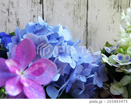 アジサイブーケ アジサイブーケ 103983475