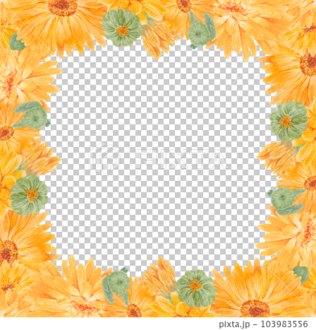 Frame of orange calendula officinalis. Watercolor hand drawn illustration. Botanical painting for labels, eco goods, textiles, natural herbal medicine, healthy tea, cosmetics and homeopatic remedies. Frame of orange calendula officinalis. Watercolor hand drawn illustration. Botanical painting for labels, eco goods, textiles, natural herbal medicine, healthy tea, cosmetics and homeopatic remedies. 103983556