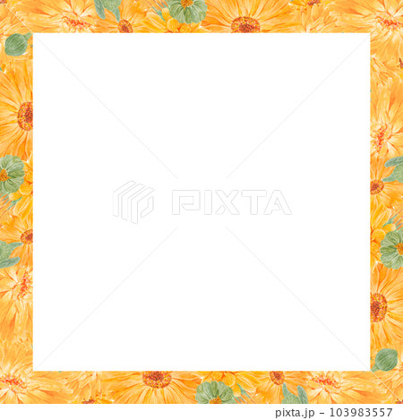 Frame of orange calendula officinalis. Watercolor hand drawn illustration. Botanical painting for labels, eco goods, textiles, natural herbal medicine, healthy tea, cosmetics and homeopatic remedies. Frame of orange calendula officinalis. Watercolor hand drawn illustration. Botanical painting for labels, eco goods, textiles, natural herbal medicine, healthy tea, cosmetics and homeopatic remedies. 103983557
