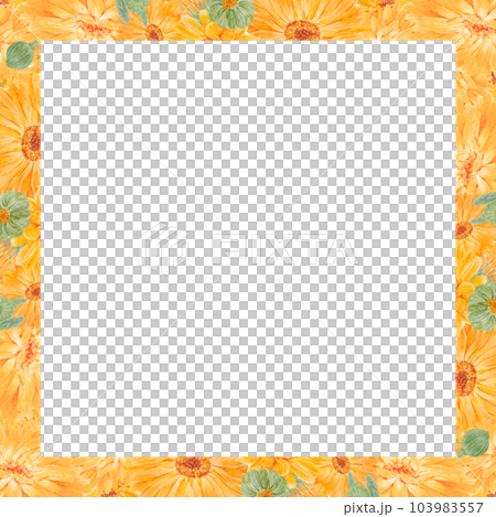 Frame of orange calendula officinalis. Watercolor hand drawn illustration. Botanical painting for labels, eco goods, textiles, natural herbal medicine, healthy tea, cosmetics and homeopatic remedies. Frame of orange calendula officinalis. Watercolor hand drawn illustration. Botanical painting for labels, eco goods, textiles, natural herbal medicine, healthy tea, cosmetics and homeopatic remedies. 103983557