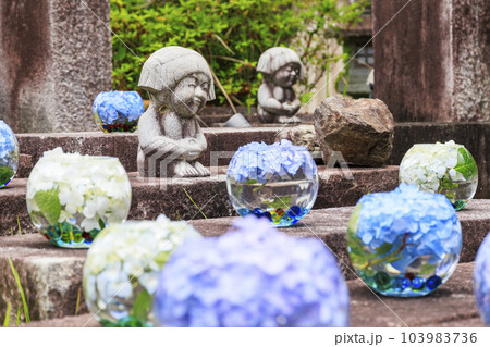 壺阪寺の新緑と満開の紫陽花 壺阪寺の新緑と満開の紫陽花 103983736