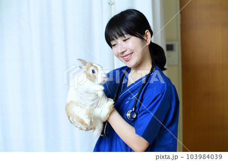 兎の診療をする女性の獣医 103984039