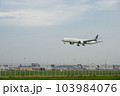 Star Alliance(EVA Air) Plane landing to runways at suvarnabhumi international airport in Bangkok ,Thailand. This airport is one of the most populated airports in the world. 103984076