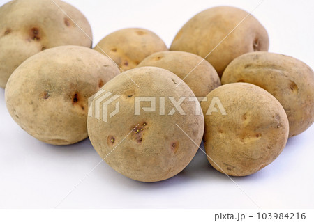 じゃがいも（キタカムイ） 103984216