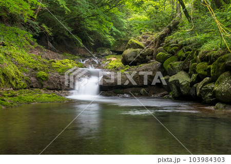 清流に流れる初夏の青紅葉が美しい新緑と滝の風景 清流に流れる初夏の青紅葉が美しい新緑と滝の風景 103984303