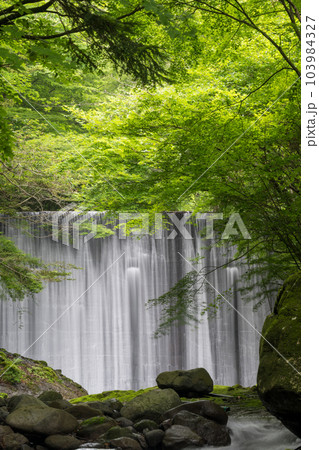 清流に流れる初夏の青紅葉が美しい新緑と滝の風景 103984327