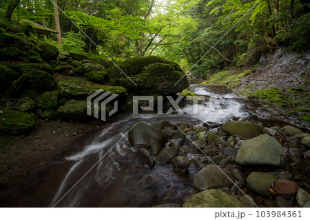 清流に流れる初夏の青紅葉が美しい新緑と滝の風景 103984361