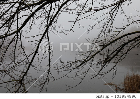 Fishermen on the ice, heavy fog, early spring, lonely Fishermen on the ice, heavy fog, early spring, lonely 103984996