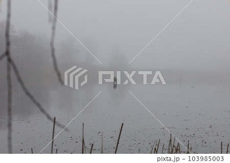 Fishermen on the ice, heavy fog, early spring, lonely Fishermen on the ice, heavy fog, early spring, lonely 103985003