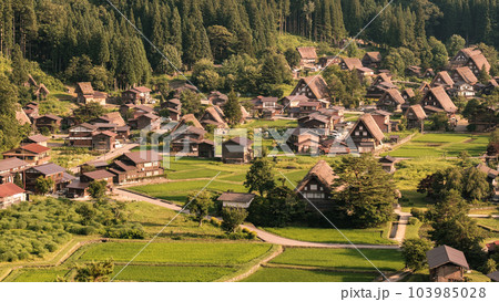 夏の白川郷（夕景） 103985028