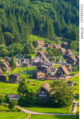 夏の白川郷(夕景) 夏の白川郷(夕景) 103985033