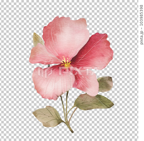 Large isolated pink flower, watercolor illustration for postcards and design. 103985398