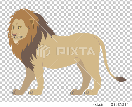 獅子 103985814