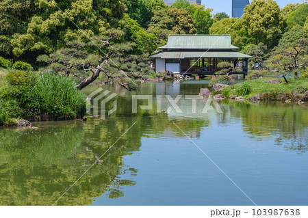 風情ある回遊式庭園　清澄庭園　東京都江東区 103987638