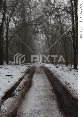 Road in a foggy winter forest Road in a foggy winter forest 103987754