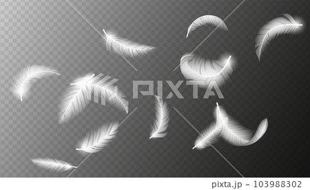 Flying feathers. Falling twirled fluffy realistic white swan, dove or angel wings feather flow. Realistic 3d vector illustration of falling dove feathers texture 103988302