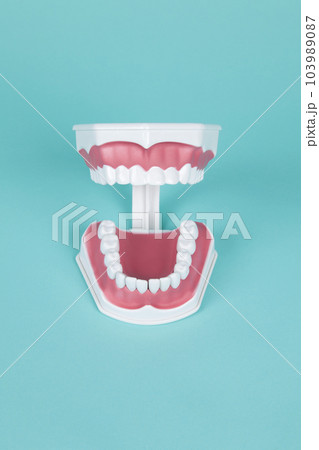 denture and anatomy of the mouth denture and anatomy of the mouth 103989087