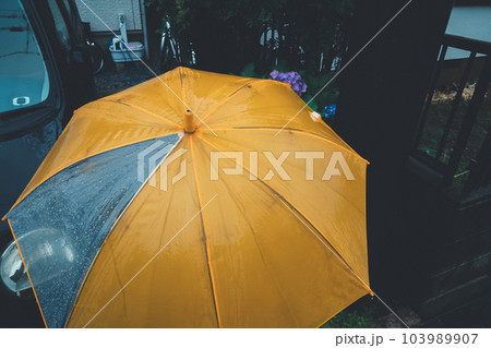 raining raining 103989907