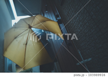 raining 103989916