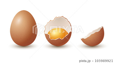 Vector 3d Realistic Brown Chicken Eggs. Textured Whole and Broken Cracked Chicken Egg, Two Parts, Opened Crack Raw Chicken Egg With Yolk Isolated. Vector Eggs Isolated. Whole, Half Egg in Front View 103989921