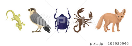 Desert Living Creatures and Wild Animal Vector Set 103989946