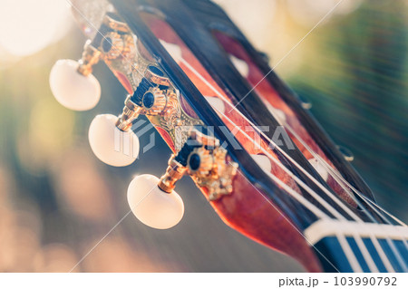 Close-up of the guitar head of a classical guitar with gold pegs. Part of a classical guitar on a blurry background in the park. Head of guitar with nylon strings. Close-up of the guitar head of a classical guitar with gold pegs. Part of a classical guitar on a blurry background in the park. Head of guitar with nylon strings. 103990792