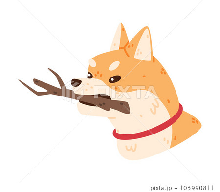 Akita Inu Dog Carry Tree Stick Vector Illustration 103990811