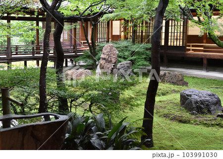 雨上がりの潮音庭 建仁寺 雨上がりの潮音庭 建仁寺 103991030