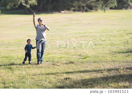 A father and his little son fly a kite into a field 103991521