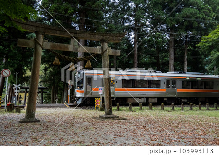 【高山本線】神社の境内を通過する普通列車 103993113