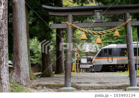 【高山本線】神社の境内を通過する特急ひだ 【高山本線】神社の境内を通過する特急ひだ 103993134