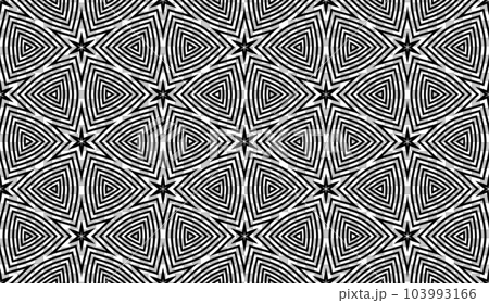 Abstract Seamless Geometric Pattern. Black and White Texture. Vector Art. 103993166