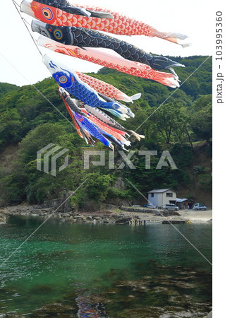漁村の谷を渡るこいのぼり 103995360